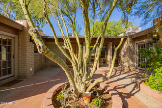 6510 E Dixileta Dr in Cave Creek, AZ - Building Photo - Building Photo