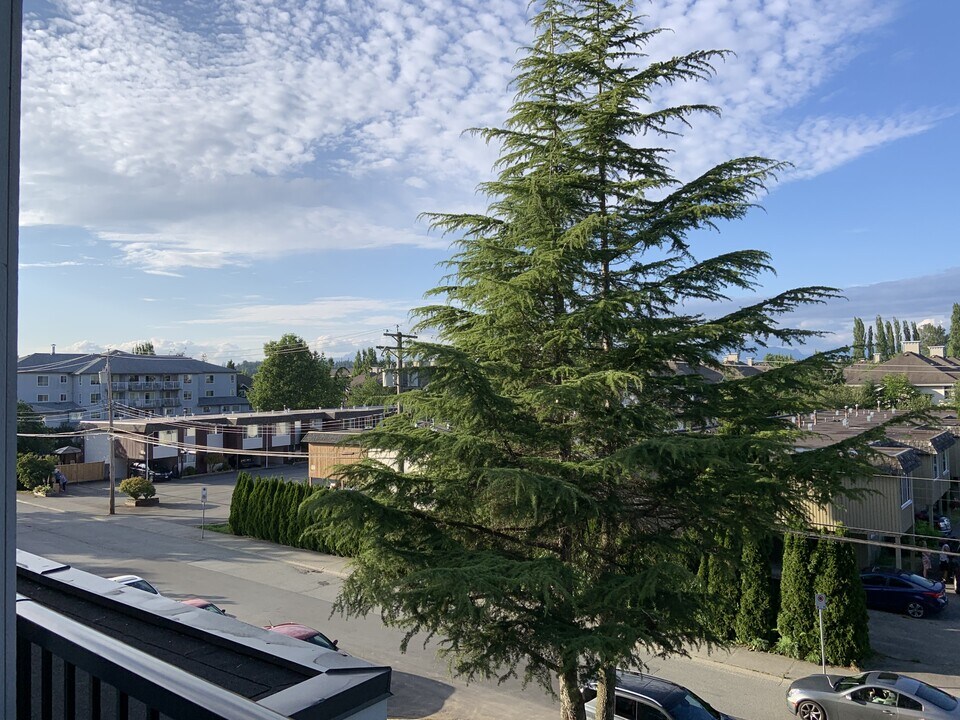 20686 Eastleigh Crescent in Langley, BC - Building Photo