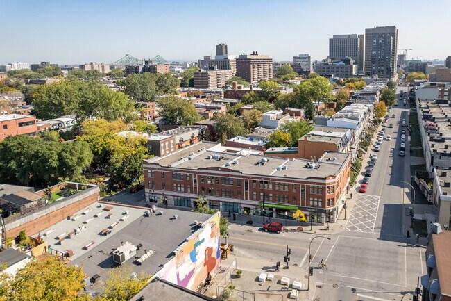 800-810 Ontario Rue E in Montréal, QC - Building Photo - Building Photo