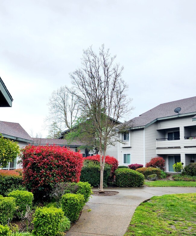The Atrium at Carmichael photo'