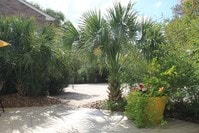 St. Gregory's Beach Apartments photo'