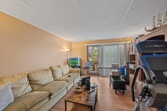 5S070 Pebblewood Ln in Naperville, IL - Building Photo - Building Photo