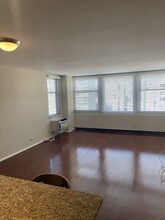 30 E Elm St in Chicago, IL - Building Photo - Building Photo