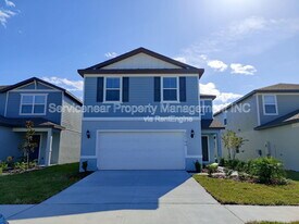 30194 Merilee Pl in Wesley Chapel, FL - Building Photo