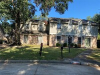 8206 Ash Valley Dr in Spring, TX - Foto de edificio - Building Photo