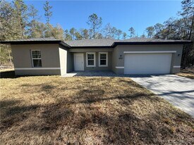 8587 N Spikes Way in Citrus Springs, FL - Building Photo