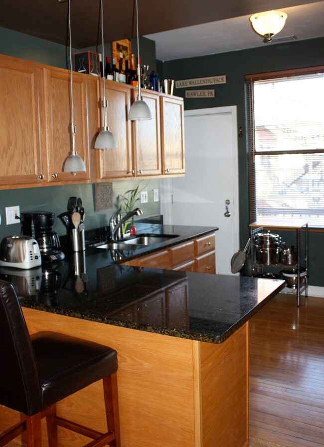 1952 W George St, Unit 2 in Chicago, IL - Building Photo - Building Photo