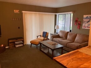 313 Tramway Dr in Stateline, NV - Building Photo - Building Photo