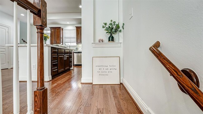 38 Versante Ct in Houston, TX - Building Photo - Building Photo