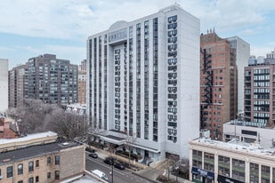 Towers Condominium in Chicago, IL - Building Photo