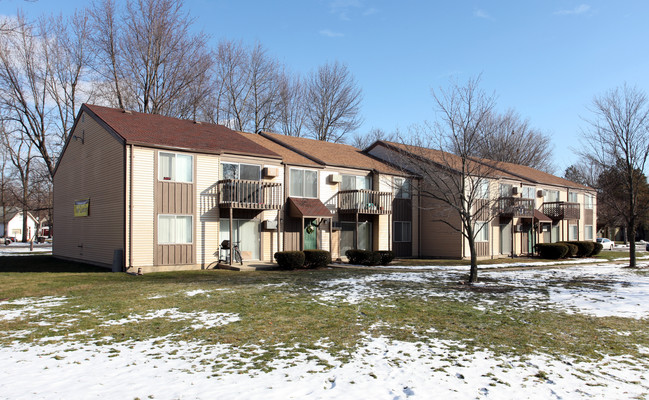 Riverview Village Apartments in Eaton Rapids, MI - Building Photo - Building Photo