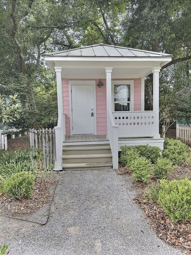 property at 703 Cottage Sq Ln