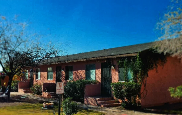 Hidden Tree in Phoenix, AZ - Building Photo