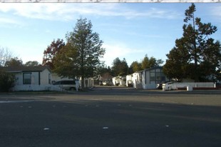 Westfield Mobile Home Park in Santa Rosa, CA - Building Photo