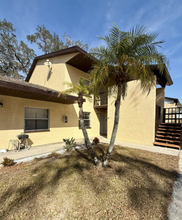 380 2nd Ave N in Safety Harbor, FL - Building Photo - Building Photo