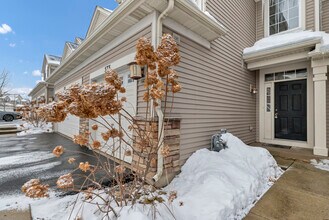 573 Telluride Dr in Gilberts, IL - Foto de edificio - Building Photo