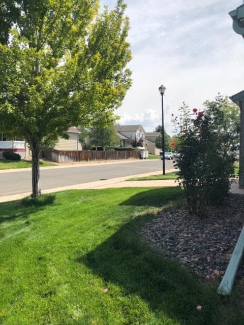 5225 S Netherland Way in Centennial, CO - Building Photo - Building Photo