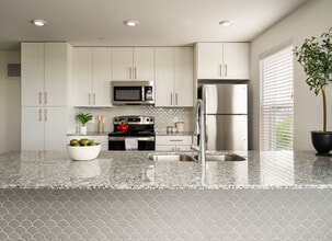 Vi Collina in Austin, TX - Building Photo - Building Photo