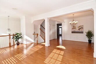 7981 Vigne Ct in Vienna, VA - Foto de edificio - Building Photo