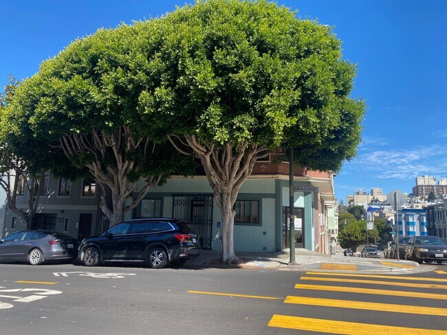 1901 Larkin St in San Francisco, CA - Foto de edificio - Building Photo