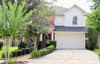9030 Necklace Tree Ln in Katy, TX - Building Photo