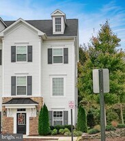 8195 Falls Grove Dr in Manassas, VA - Building Photo