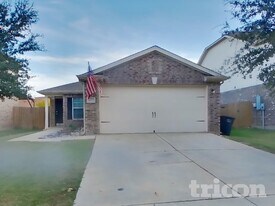4817 Cedar Springs Dr in Fort Worth, TX - Building Photo