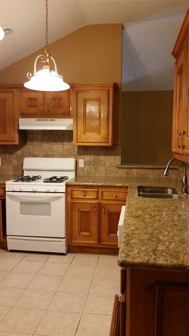 10927 Wilkenburg Dr in Houston, TX - Building Photo - Building Photo