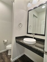 3832 Ghost Dance Dr in Castle Rock, CO - Building Photo - Building Photo