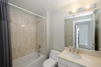 250 E Pearson St in Chicago, IL - Building Photo - Building Photo