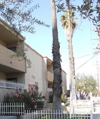 Kester Palace in Van Nuys, CA - Foto de edificio - Building Photo