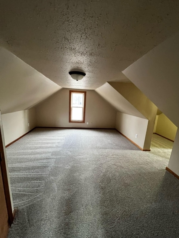 318 N Cass Ave in Springfield, MN - Building Photo - Building Photo