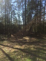 1158 Burt Loop Rd in Crystal Springs, MS - Building Photo