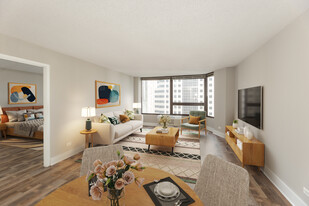 Millennium Park Plaza Apartments