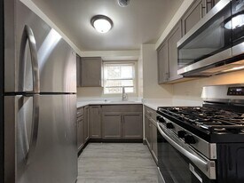 1300 S 51st Ct, Unit 201 in Cicero, IL - Building Photo