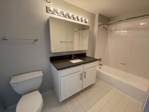 541 N State St in Chicago, IL - Building Photo - Building Photo