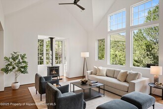 302 Wild Spring Ln in Basalt, CO - Building Photo - Building Photo