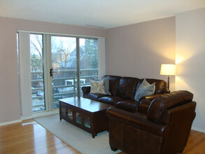 20 Webster St, Unit 301 in Brookline, MA - Building Photo - Building Photo