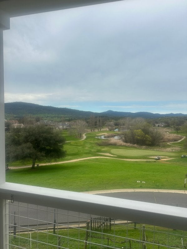 515 Rosebush Ct in Angels Camp, CA - Building Photo - Building Photo