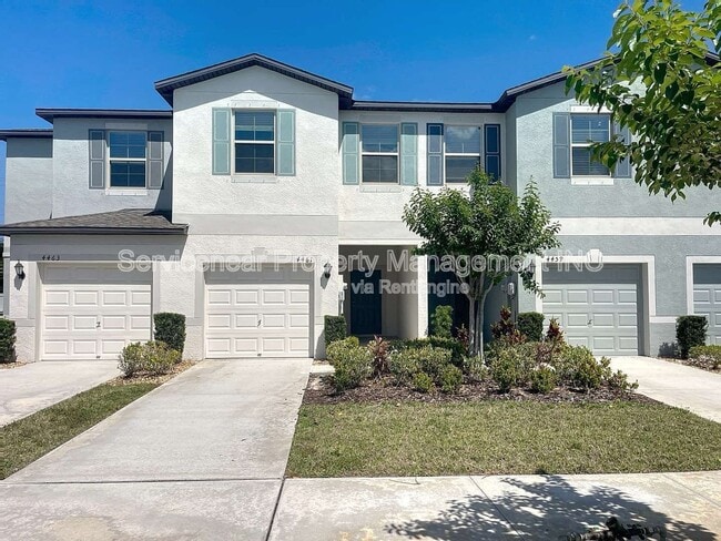 4461 Globe Thistle Dr in Tampa, FL - Building Photo - Building Photo