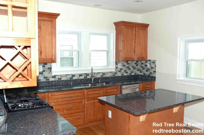 14 Seager Ct in Boston, MA - Foto de edificio - Building Photo