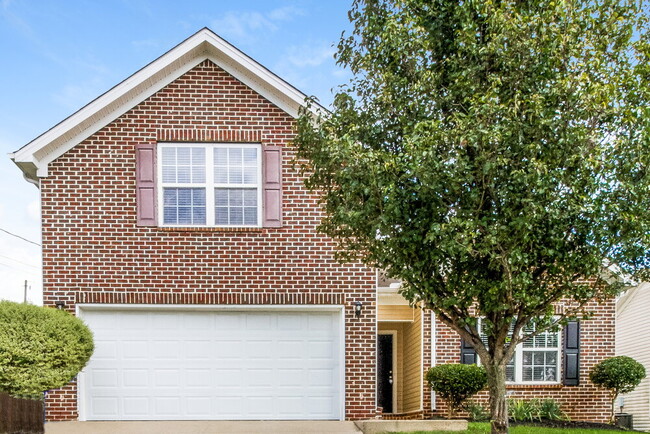 property at 1105 Sima Shabat Ct