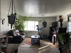 3708 Boulder St in Evans, CO - Building Photo - Building Photo