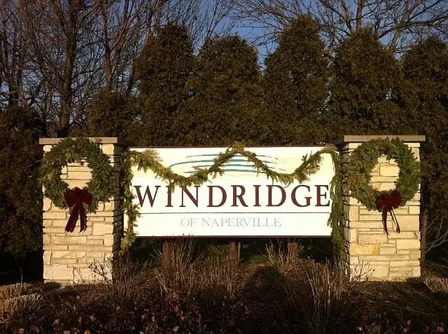 2227 Waterleaf Ct, Unit 202 in Naperville, IL - Building Photo