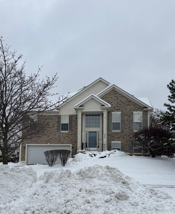 924 Summit Creek Dr in Shorewood, IL - Building Photo