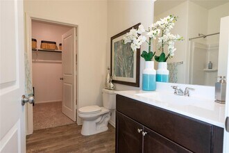 7509 Ivy Trellis Trl in Austin, TX - Building Photo - Building Photo