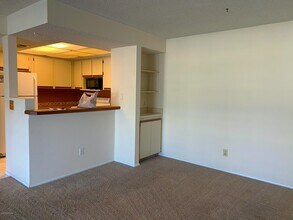 987 Sonesta Ave NE in Palm Bay, FL - Building Photo - Building Photo