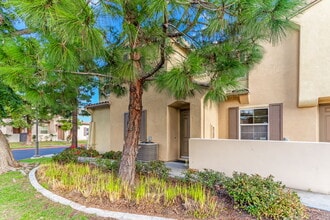 1429 Caminito Sardinia in Chula Vista, CA - Building Photo - Building Photo