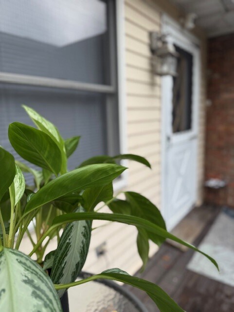 1824 Pershing Pl, Unit Rear in South Plainfield, NJ - Building Photo