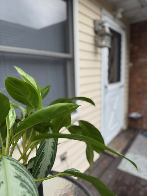 1824 Pershing Pl, Unit Rear
